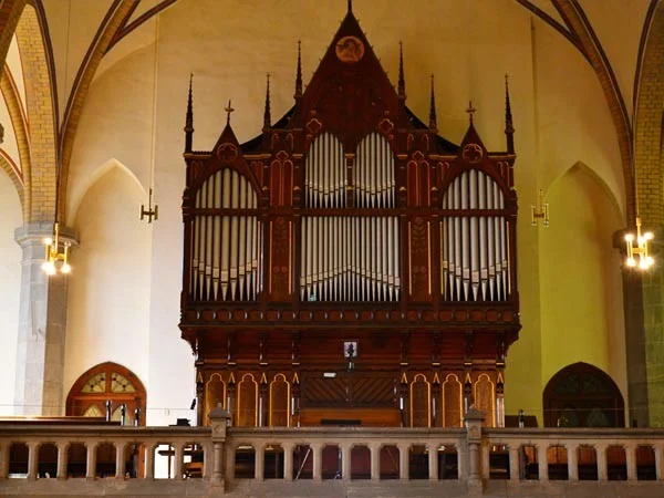 Orgel badkoe 3 600x450